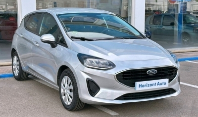 Ford Fiesta 75cv Gris