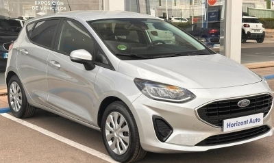 <b>Ford Fiesta </b><br>75cv Gris