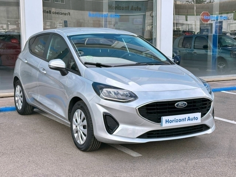 Ford Fiesta 1100cc 75cv Gris