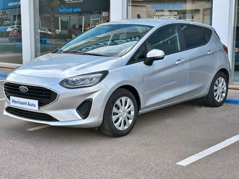 Ford Fiesta 1100cc 75cv Gris