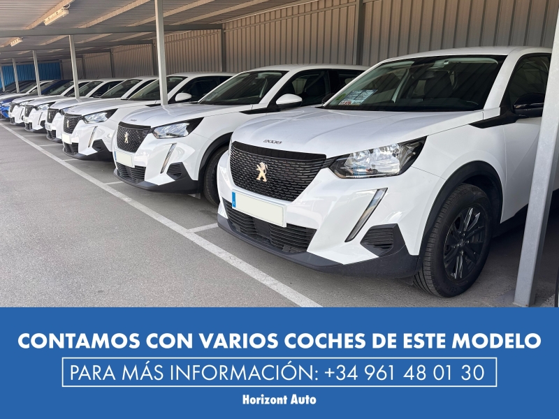 Peugeot 2008 Active Pack 110cv Blanco