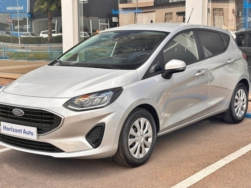Ford Fiesta 1100cc 75cv Gris