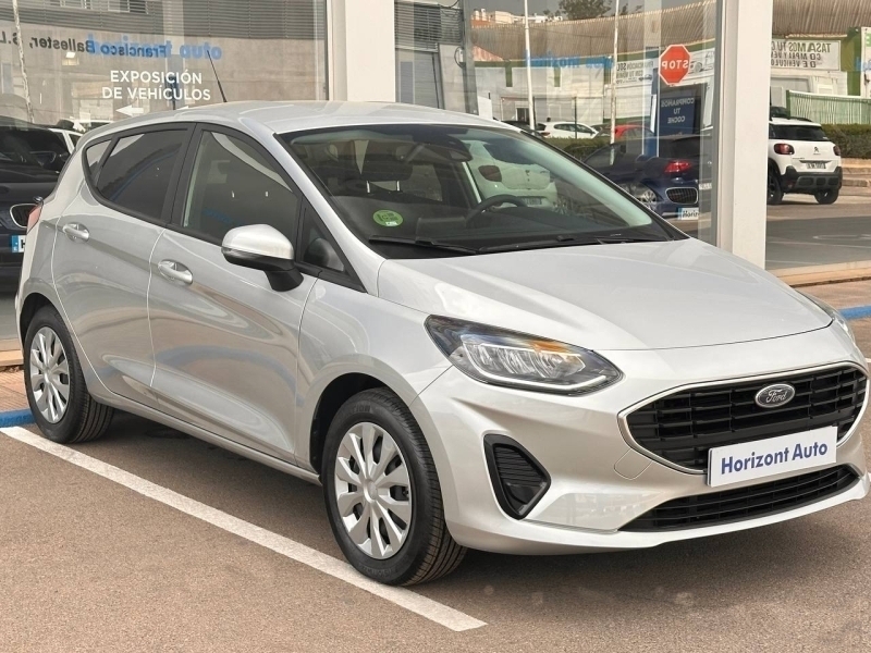 Ford Fiesta 1100cc 75cv Gris
