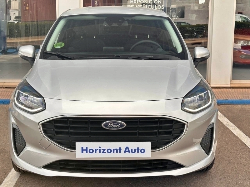 Ford Fiesta 1100cc 75cv Gris